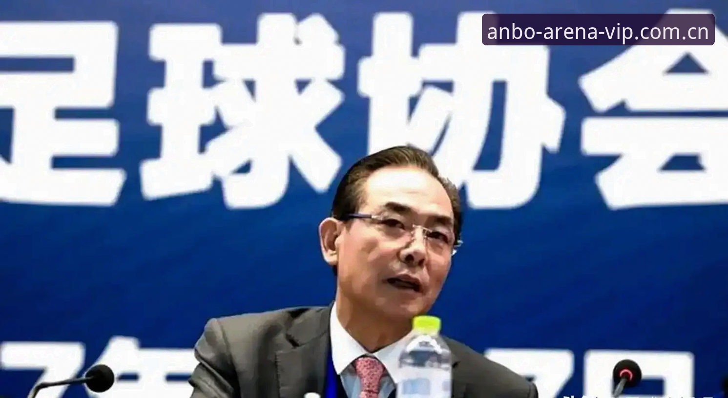 足协第三批禁足名单深度分析：17人终身禁足与48人限业处罚，ANBO官方平台信息核验方法全面解析